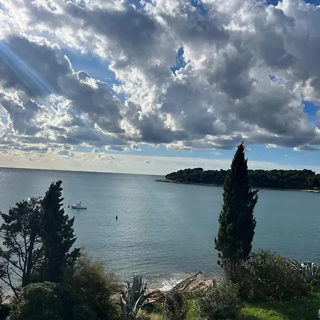 アパート With A Sea View プーラ