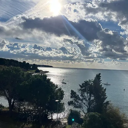 With A Sea View